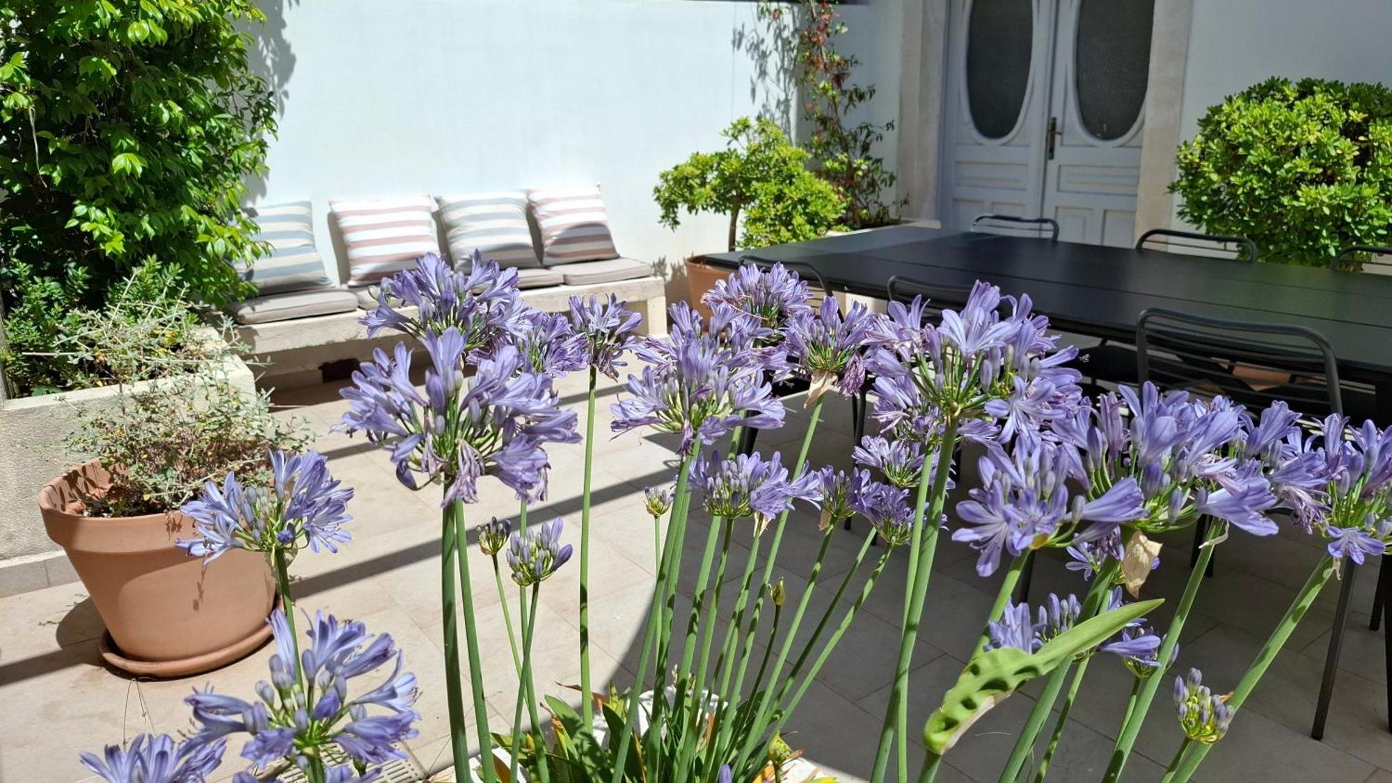 Villa Mira With A Heated Pool And A Sea View Božava Eksteriør billede